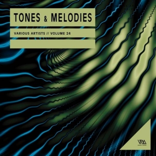 VA – Tones & Melodies Vol 24 [VMCOMP1210]