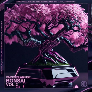 VA – Bonsai [Golden Soul Records]