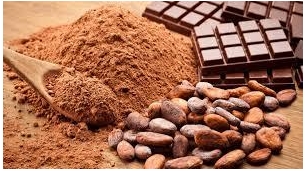 Cocoa Beans Market 2024: Aims To Expand At Double-Digit Growth Rate