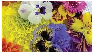 Floral Flavors Market To Witness Unbelievable Growth From 2024 To 2030