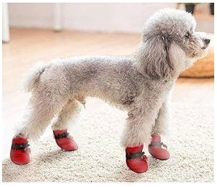 Dog Boots Market Demand Analysis And Opportunity Outlook 2030