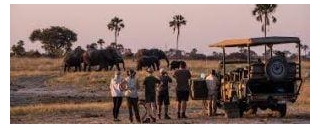 Luxury Safari Tourism Market SWOT Analysis (2024-2030)