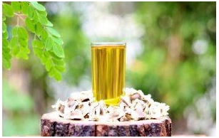 Moringa Oil Market Valuation Outlook See Stable Growth Ahead