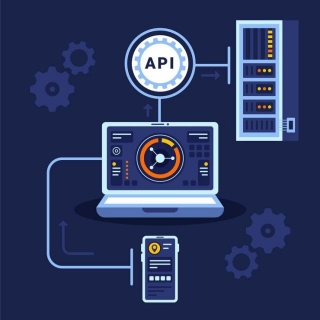 Salesforce Integration With API Capabilities