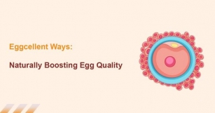 Eggcellent Ways: Naturally Boosting Egg Quality
