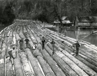 Timber Rafts: The Epic History Of Rafting Logs Downriver