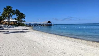 Remarkable Islands: How Many Florida Keys Are There