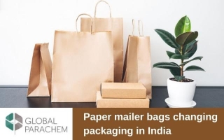 How Paper Mailer Bag Is Changing The Packaging In India? Packaging Supplier In Delhi