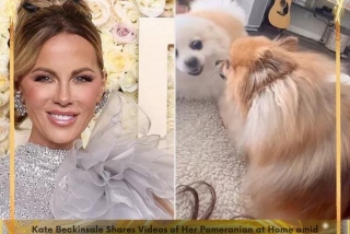 Kate Beckinsale Shares Videos Of Her Pomeranian At Home Amid Health Concerns And Hospital Visits