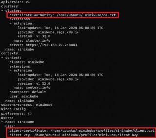 Exposing Minikube Kubernetes Cluster With Nginx As Proxy