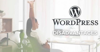 10 Disadvantages Of WordPress | What You Need To Know