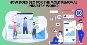 SEO For The Mold Removal Industry In USA In 2024