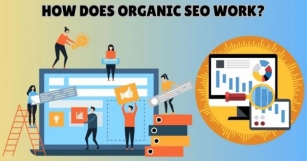 Organic SEO Services Provider: Get More Traffic & Sales