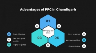 ADVANTAGES OF PAY PER CLICK IN CHANDIGARH