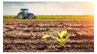10 Importance Of Agriculture To Every Society
