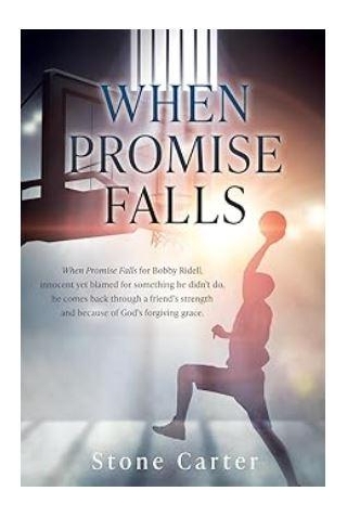 When Promise Falls By Stone Carter