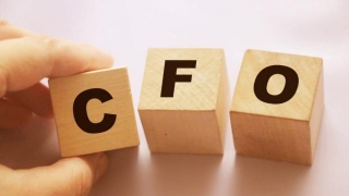 Types Of CFO Services For Modern Businesses