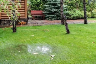 Addressing Poor Outdoor Drainage Issues During Summer