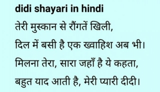 Miss You Didi Shayari - Didi Shayari In Hindi [2024]