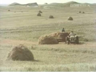 The Corncrake And The Croft: A 1977 Film About North Uist