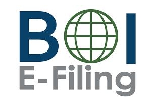 BOIR: Navigate Beneficial Ownership Reports With Ease
