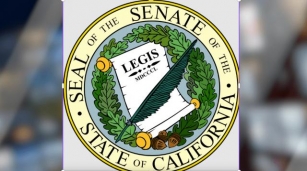 California Senate Creates Policy Group To Stabilize State’s Property Insurance Market Friday