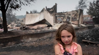 Washington Ranked 10th In 2023 With Most Homes At Risk From Wildfires
