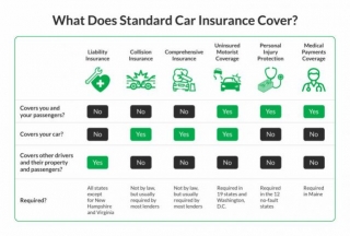 How Does Basic Car Insurance Work? (2024)