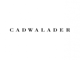 Lasting Excellence June 2024 – Insurance Companies In NAV, CLOs And Rated Feeders: Where Are We Now | Cadwalader, Wickersham & Taft LLP