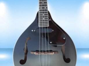 How Many Strings Does A Mandolin Have?