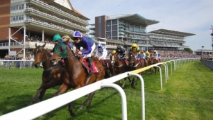 Northwest Horse Racing Review