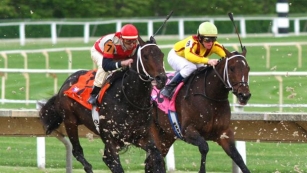 Horse Racing Betting Boom On The Market