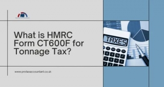 What Is HMRC Form CT600F