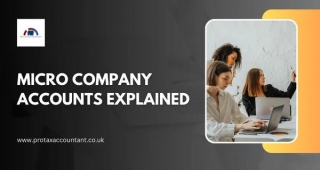 Micro Company Accounts Explained