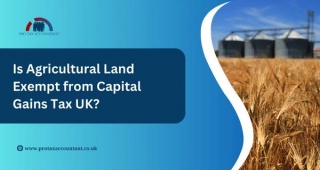 Is Agricultural Land Exempt From Capital Gains Tax UK?