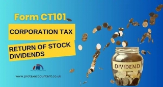 Corporation Tax: Return Of Stock Dividends - CT101 Form