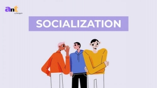 Socialization Crash Course Sociology