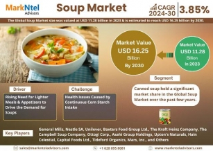 Soup Market Surpasses USD 11.28 Billion Value In 2023, Projected To Achieve Remarkable 3.85% CAGR Growth | Nestle SA, Unilever