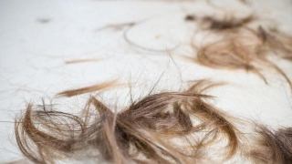 Hair Waste In Salons