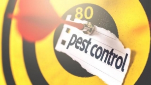 Why Is Pest Control Important In The Food Industry?
