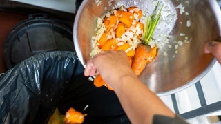 Food Waste Guide 2024