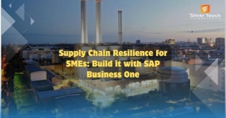 Best SAP ERP Software For Supply Chain Resilience