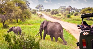 EF Go Ahead Tours Introduces Two New Itineraries To Kenya - Travel Agent Central