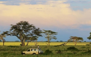 8 ways to experience Tanzania on a budget - Lonely Planet Travel News