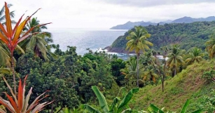 How To Plan The Perfect Visit To Dominica, The Caribbean's 'Nature Island' - Travel + Leisure