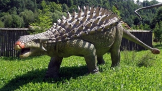 10 Dinosaurs With Spikes On Back