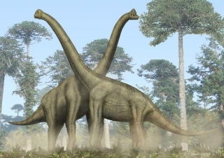 10 Dinosaurs With Long Necks