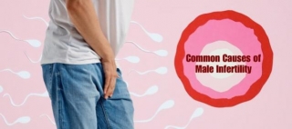 Common Causes Of Male Infertility