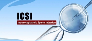 What Is Intracytoplasmic Sperm Injection (ICSI)?