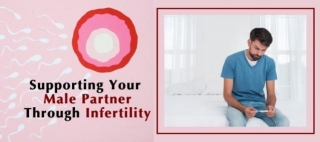 Supporting Your Male Partner Through Infertility